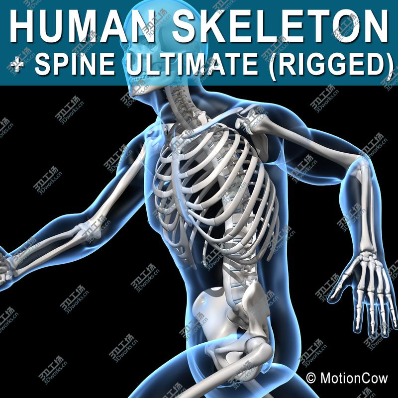 images/goods_img/20210113/Human Skeleton  Rigged/1.jpg